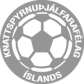 Islands træner forening